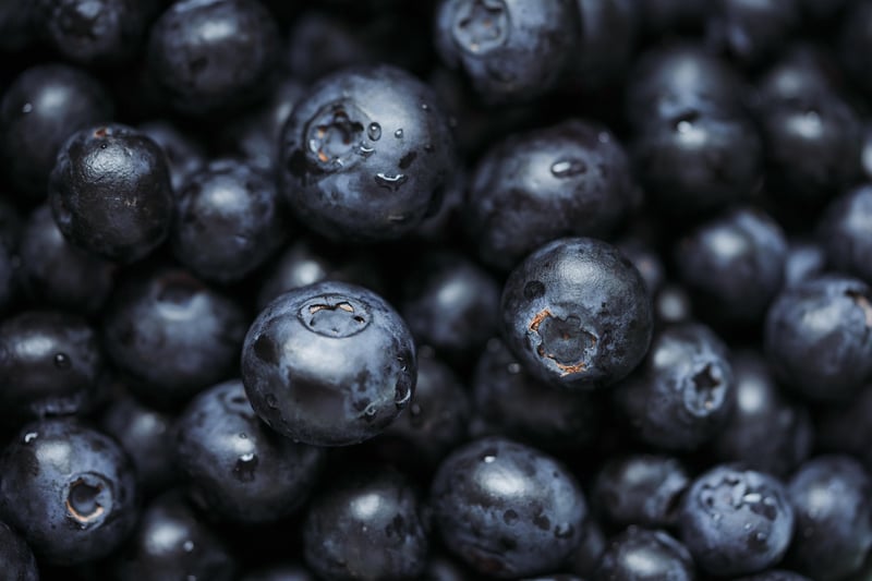 Superfood recipes